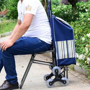 Chariot de courses pliable avec siège