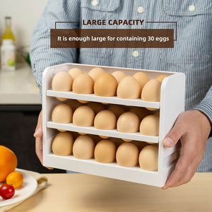 Egg Storage Container for Refrigerator Door - airlando