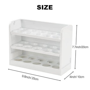 Egg Storage Container for Refrigerator Door - airlando
