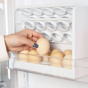 Egg Storage Container for Refrigerator Door - airlando