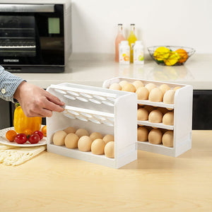 Egg Storage Container for Refrigerator Door - airlando
