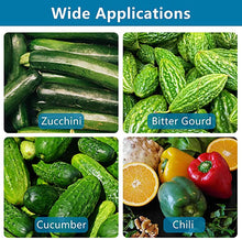 Charger l&#39;image dans la galerie, Stainless Steel Pepper Corer - airlando
