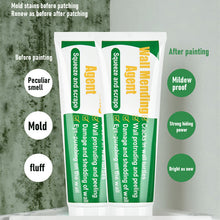 Lade das Bild in den Galerie-Viewer, Wall Repair Paste (250g) - airlando

