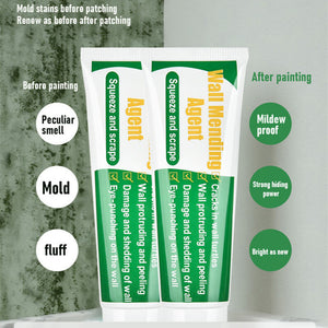 Wall Repair Paste (250g) - airlando